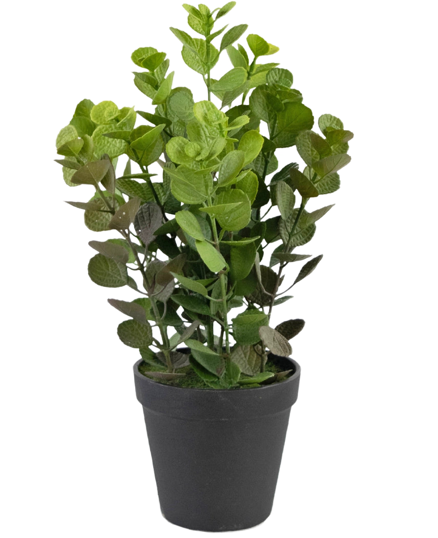 De Kunstplant Vicks 33 cm is een groenbladige kunstplant met ronde bladeren in een eenvoudige zwarte pot, tegen een effen witte achtergrond.