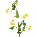 De Kunstbloem Boterbloem 77 cm is een enkele groene stengel met meerdere takken, kleine gele bloemen en groene bladeren-ideaal voor je boeket samenstellen-getoond op een effen witte achtergrond.