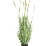 De Kunst Grasplant Groen 150 cm brandvertragend heeft hoge, slanke groene sprieten en tarweachtige stengels, die zorgen voor een natuurlijke uitstraling binnenshuis. Deze kunstgrasplant staat tegen een effen witte achtergrond.