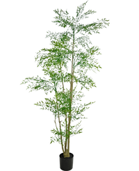Kunstplant Ruscus 210 cm