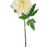 De Kunstbloem Pioen 61 cm wit is een kunstmatige witte pioenroos met gelaagde bloemblaadjes en groene blaadjes op een lange bruine steel, afgebeeld tegen een effen witte achtergrond.