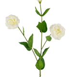 De Kunst Eustoma Real Touch Wit 72cm heeft een enkele groene steel met twee open witte bloemen, een gesloten knop en weelderige groene bladeren, allemaal tegen een effen witte achtergrond.