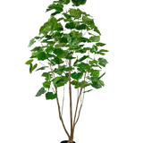 De Kunstplant Ficus 210 cm is een hoge kamerplant in pot met meerdere slanke bruine stengels en weelderige grote groene bladeren, tegen een effen witte achtergrond.