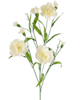 Een 70 cm kunstmatige tros van witte anjers (Kunstbloem Anjer tros), met groene bladeren, uitgebloeide bloemen en enkele knoppen, geïsoleerd op een witte achtergrond.