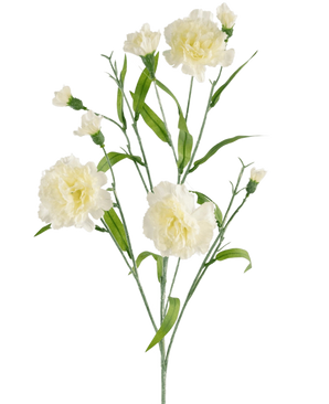 Een 70 cm kunstmatige tros van witte anjers (Kunstbloem Anjer tros), met groene bladeren, uitgebloeide bloemen en enkele knoppen, geïsoleerd op een witte achtergrond.