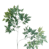 De Kunstblad Ming Aralia 50 cm groen brandvertragend is een hoge, slanke kunstplant met dunne stengels en trossen groene bladeren met gekartelde randen tegen een effen witte achtergrond.