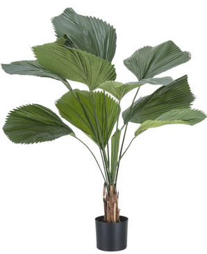 De Kunstplant Lucuala Grandis 120 cm heeft grote, waaiervormige groene bladeren en een bruine stam met textuur in een eenvoudige zwarte sierpot, tegen een witte achtergrond.