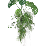 De Kunst hangplant Monstera/Varen bal 100 cm XL heeft weelderige groene monsterabladeren en varens met lange, slepende ranken en wortels, perfect om groen toe te voegen aan elke ruimte tegen een witte achtergrond.