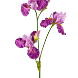 De Kunstbloem Iris 102 cm paars heeft een lange groene steel versierd met verschillende levendige paarse en witte irisbloemen, elk met ruches op de bloemblaadjes en gele accenten, tegen een effen witte achtergrond.
