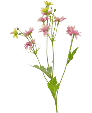 De Kunstbloem Madelief 55 cm roze heeft een steel met meerdere lichtroze en witte bloemen en groene bladeren, geïsoleerd op een witte achtergrond.