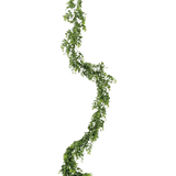 De Kunst slingerplant Pumila 182 cm heeft een lange, kronkelende groene liaan met kleine blaadjes, die verticaal hangt tegen een effen witte achtergrond.