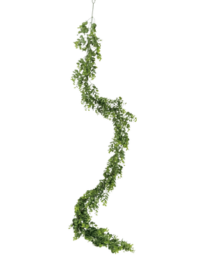 De Kunst slingerplant Pumila 182 cm heeft een lange, kronkelende groene liaan met kleine blaadjes, die verticaal hangt tegen een effen witte achtergrond.