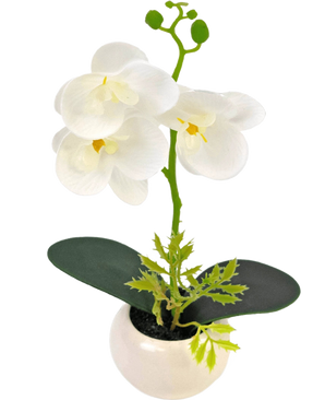 De Kunst Orchidee 28 cm wit in pot heeft drie grote witte bloesems en twee groene bladeren in een kleine witte pot, tegen een effen achtergrond.