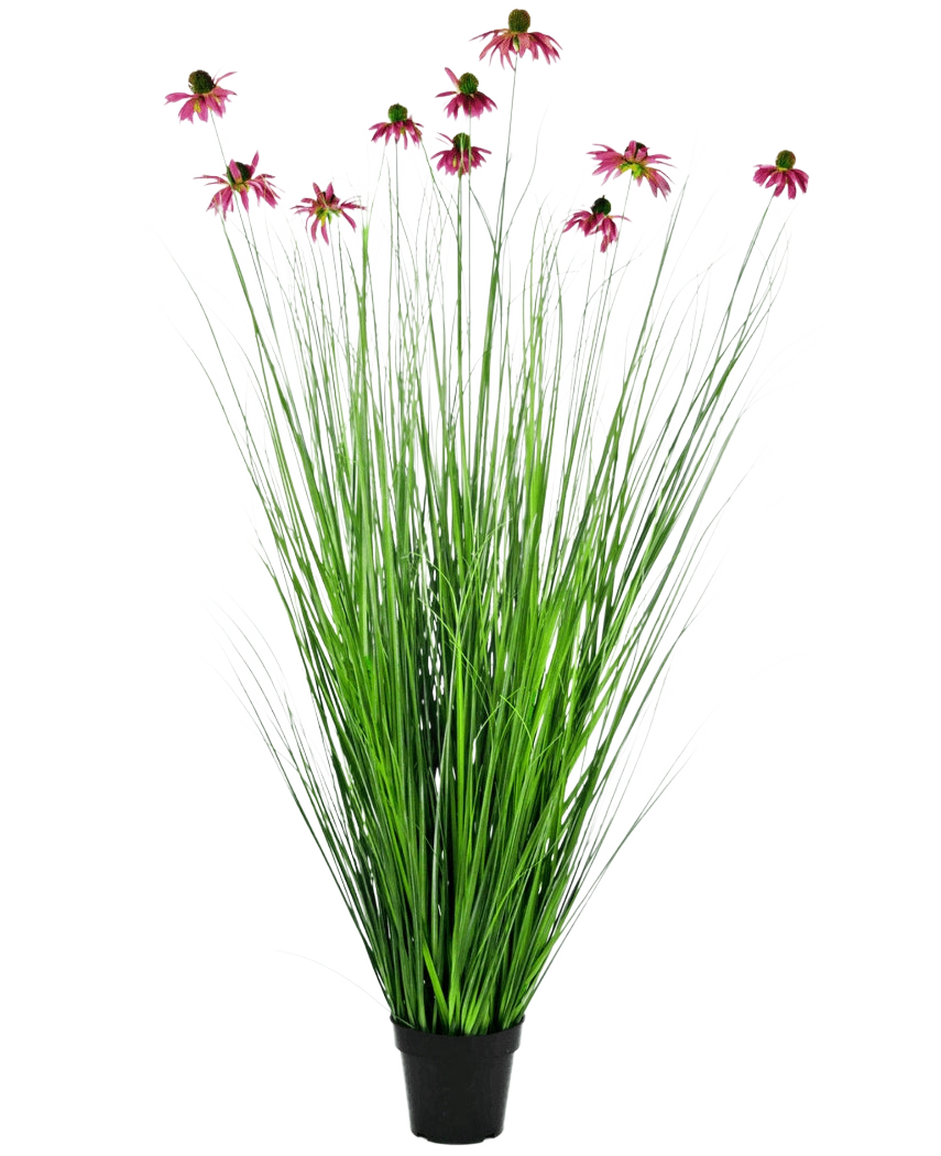 De Kunst Grasplant Chrysant 150 cm brandvertragend heeft lange, dunne groene grasachtige bladeren en lange stelen met roze margrietachtige bloemen, gepresenteerd in een pot tegen een effen witte achtergrond.