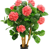 De Kunstplant Hortensia UV 85 cm roze heeft meerdere stelen, brede groene bladeren en roze hortensiabloemen in een zwarte pot, wat zorgt voor een levendig contrast en een levensechte weergave.