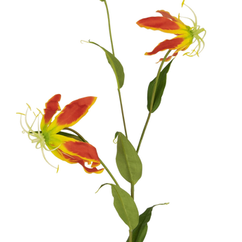 De Kunstbloem Gloriosa 81 cm rood/geel heeft twee open rode en gele gloriosa leliebloemen, een gesloten knop en een aantal lange groene bladeren, allemaal tegen een effen witte achtergrond.
