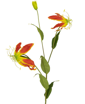 De Kunstbloem Gloriosa 81 cm rood/geel heeft een steel met groene bladeren, twee levendige rode en geelgerande Gloriosa leliebloemen en een gesloten knop aan de bovenkant, allemaal geïsoleerd op een witte achtergrond.