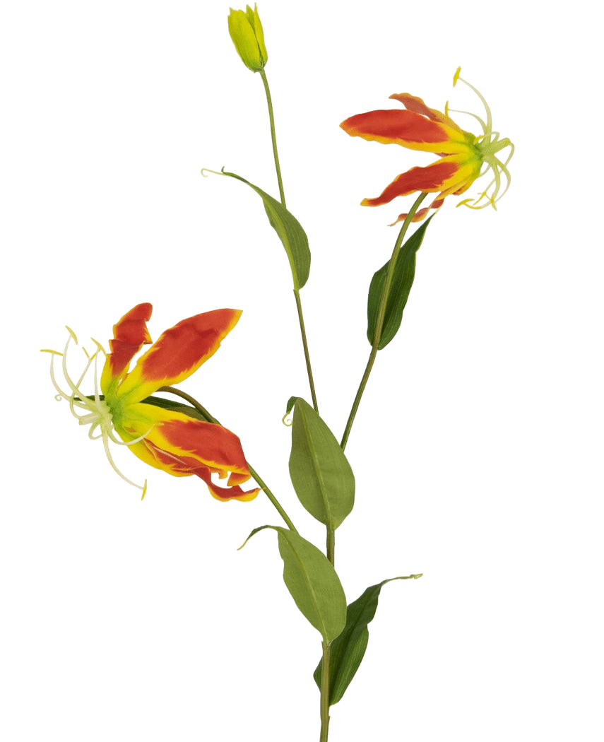 De Kunstbloem Gloriosa 81 cm rood/geel heeft twee open rode en gele gloriosa leliebloemen, een gesloten knop en een aantal lange groene bladeren, allemaal tegen een effen witte achtergrond.