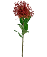 Een Kunstbloem Protea 73 cm rood met een enkele stengel met groene bladeren en een rood, stekelig, rond bloemhoofdje dat lijkt op een speldenkussen, geïsoleerd op een witte achtergrond.