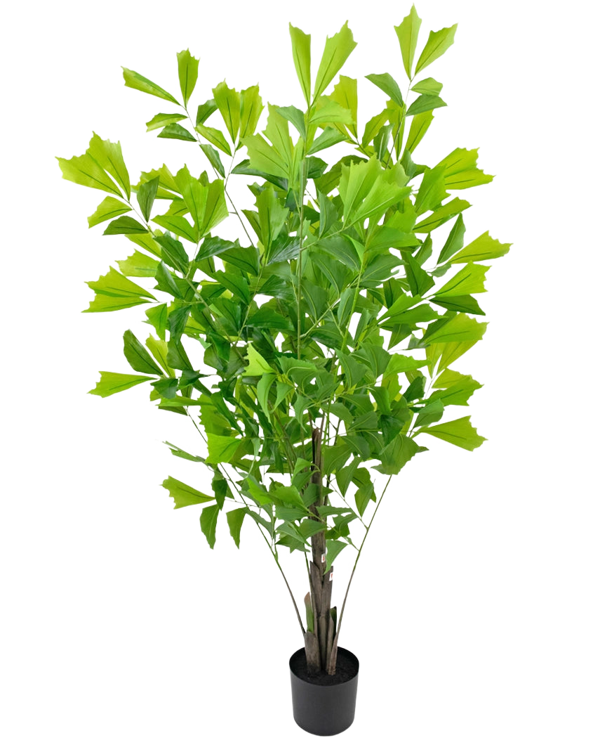 De Kunstplant Fishtailpalm 150 cm is een weelderig groene kamerpotplant met meerdere rechtopstaande stengels en grote, waaiervormige bladeren, gepresenteerd in een eenvoudige zwarte pot tegen een witte achtergrond.