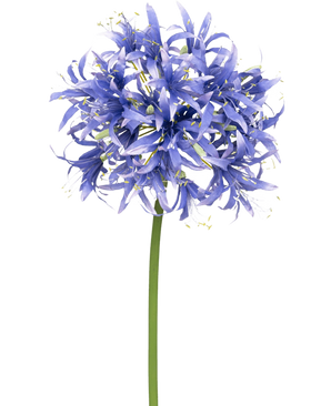 Een Kunstbloem Nerine 70 cm paars met veel kleine stervormige paarse bloesems in een bolvormige cluster op een lange groene steel, tegen een effen witte achtergrond.