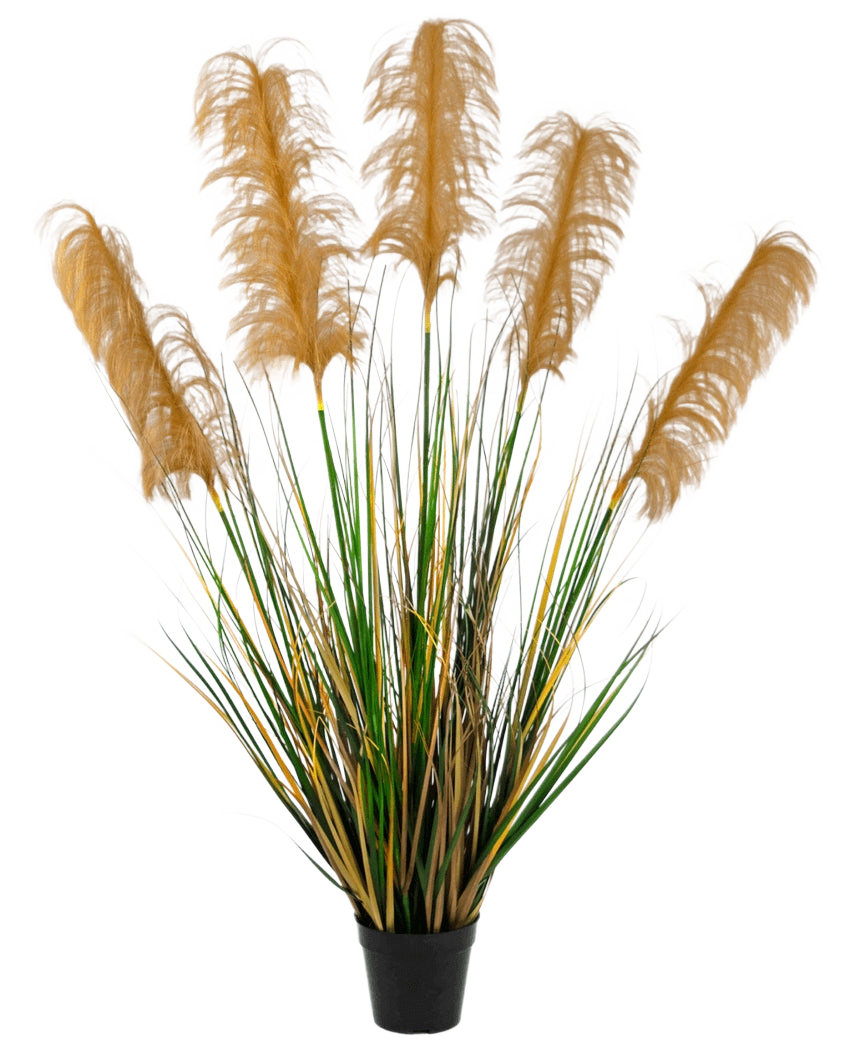Kunst Pampasgras 120 cm –Easyplants Kunstplanten