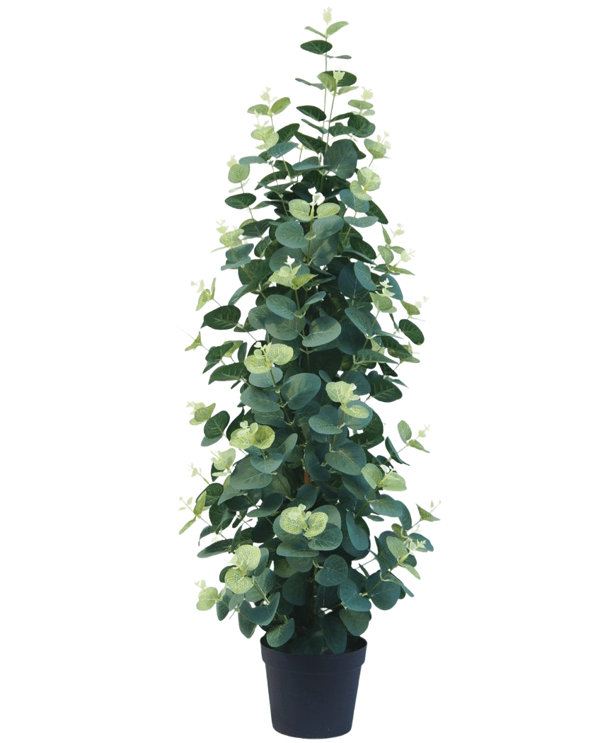 De Kunstplant Eucalyptus 76 cm is een hoge, weelderige kunstmatige eucalyptusplant met ronde groene bladeren in een zwarte pot, tegen een effen witte achtergrond.