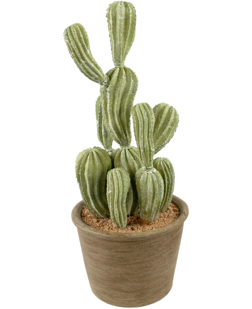 De Kunst Cactus Cereus 35 cm heeft groene, geribbelde rechtopstaande stelen in een pot met bruine structuur en lichtbruine aarde, tegen een effen witte achtergrond.