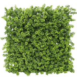 De Kunsthaag Moss 50x50 cm UV is een dicht vierkant paneel van kunstmatig groen gebladerte met kleine bladertakjes, van bovenaf afgebeeld op een witte achtergrond.