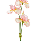 Een Kunstbloem Iris 102 cm licht roze heeft verschillende delicate lichtroze en witte ruches met gele accenten tegen een effen witte achtergrond.
