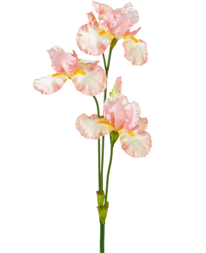 Een Kunstbloem Iris 102 cm licht roze heeft verschillende delicate lichtroze en witte ruches met gele accenten tegen een effen witte achtergrond.