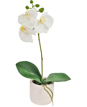 De Kunst Orchidee Real Touch 30 cm wit heeft levensechte witte orchideeënbloemen en groene bladeren in een kleine witte pot, perfect om elegantie toe te voegen aan elke ruimte.