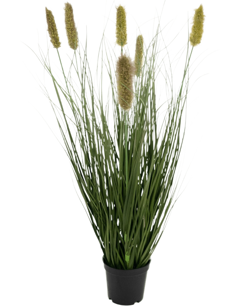 De Kunstgras Matsutake uiengraspot 61cm brandvertragend heeft lange, dunne, groene grasachtige bladeren en geelachtige pluizige cilindrische pluimen in een zwarte pot, die lijken op kunstgras tegen een witte achtergrond.