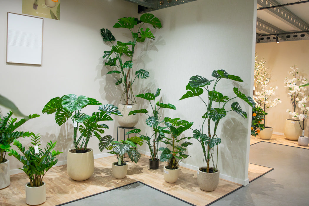 Onze Showroom