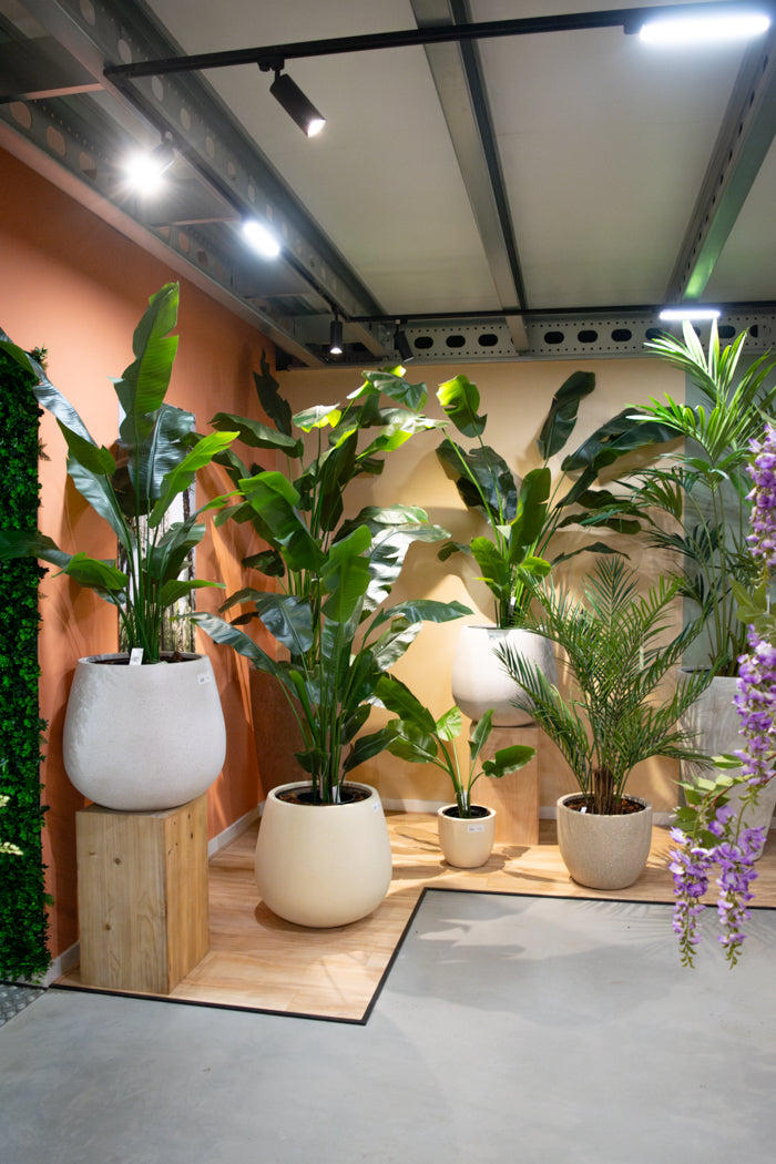 Onze Showroom