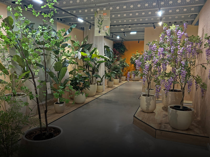 Bezoek onze showroom